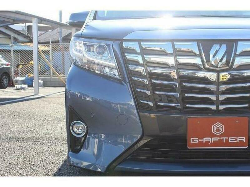 ALPHARD-10