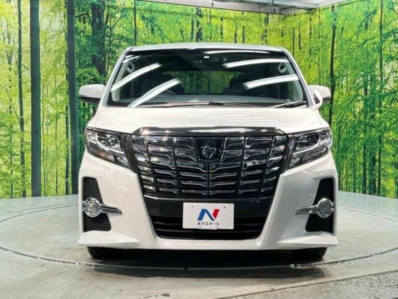 ALPHARD-15