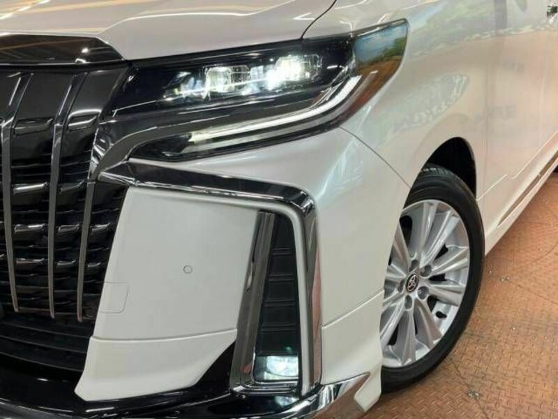 ALPHARD-15