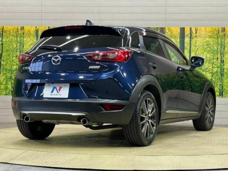 CX-3-17