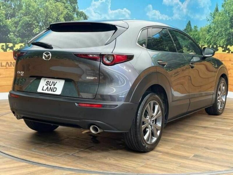 CX-30-17