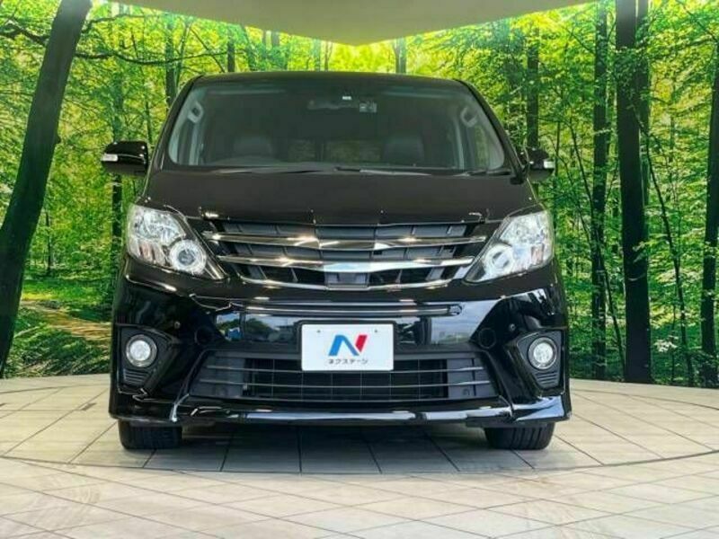 ALPHARD-15