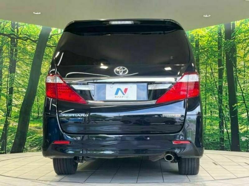 ALPHARD-16