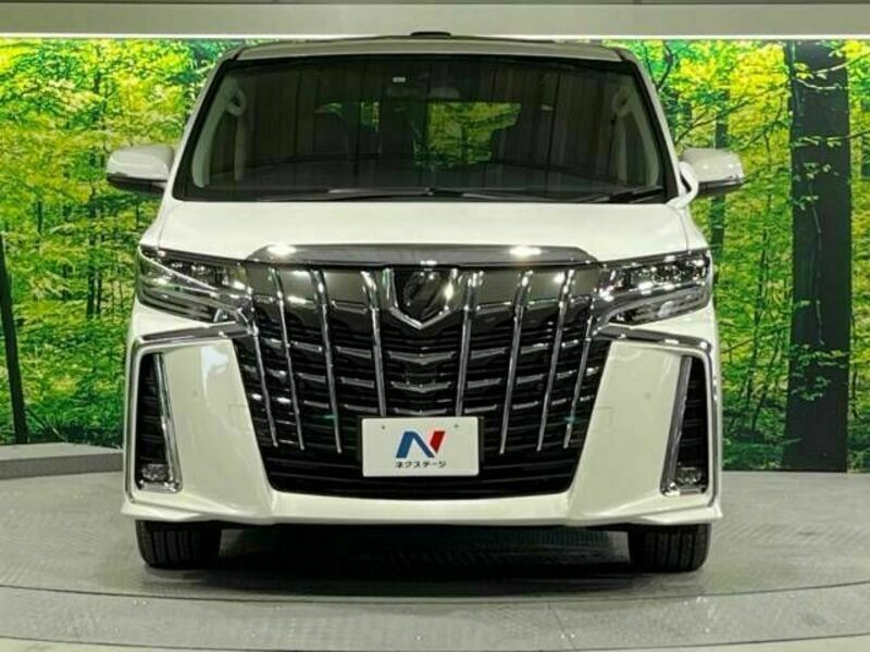 ALPHARD-15