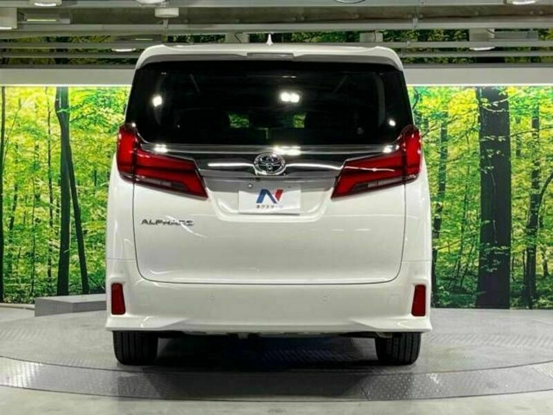 ALPHARD-16