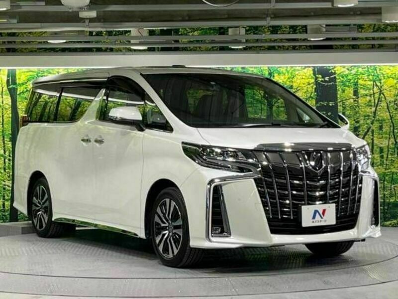 ALPHARD-17