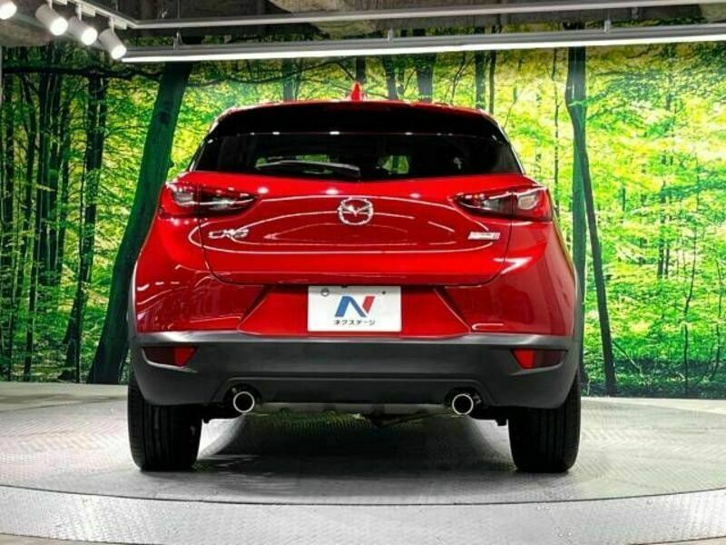 CX-3-15