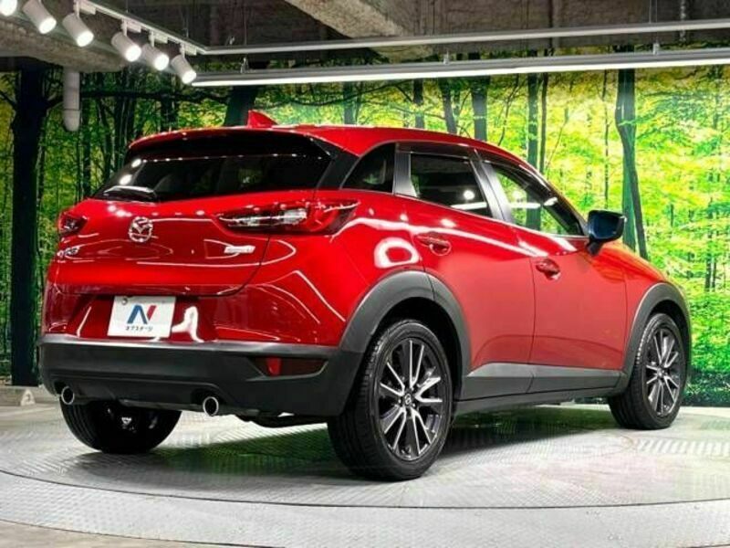 CX-3-17