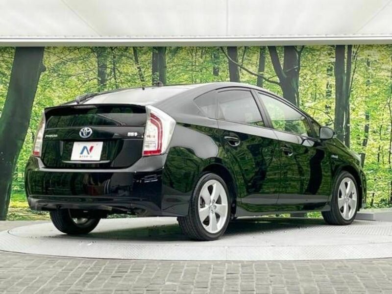 PRIUS-17