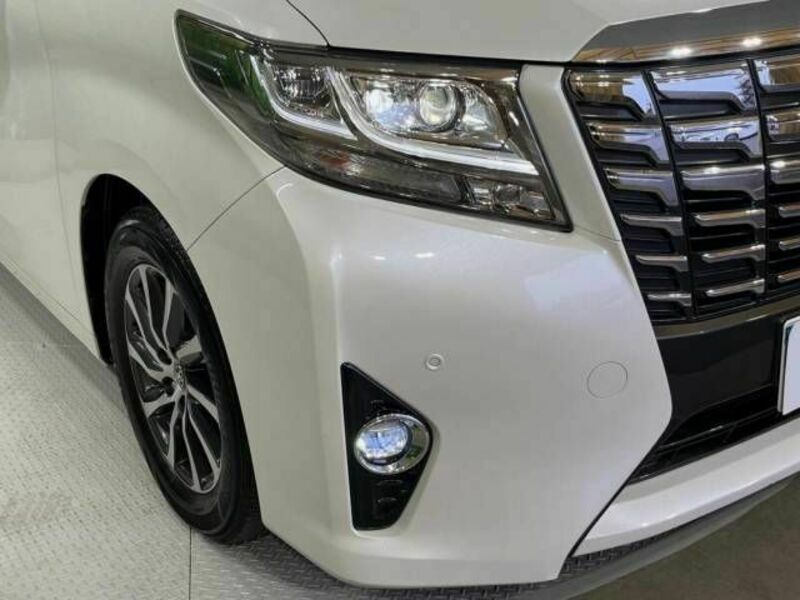 ALPHARD-8