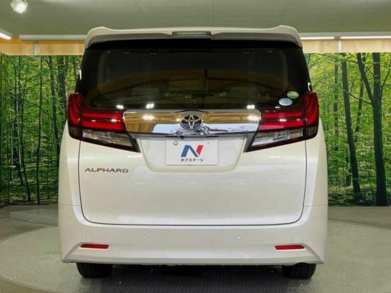 ALPHARD-16