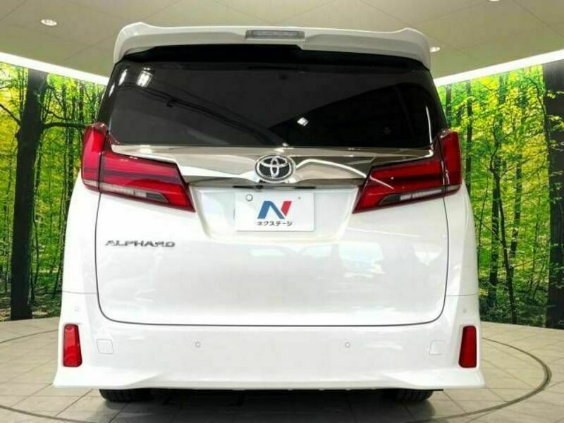 ALPHARD-15