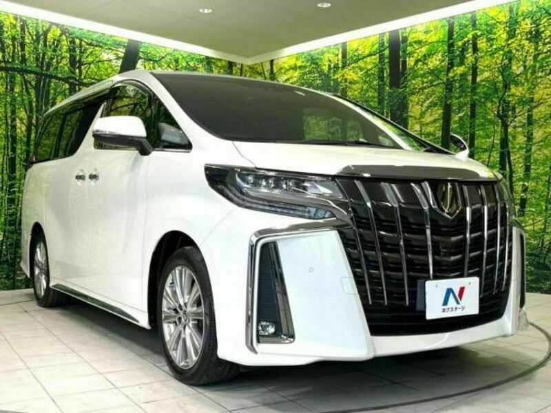 ALPHARD-16