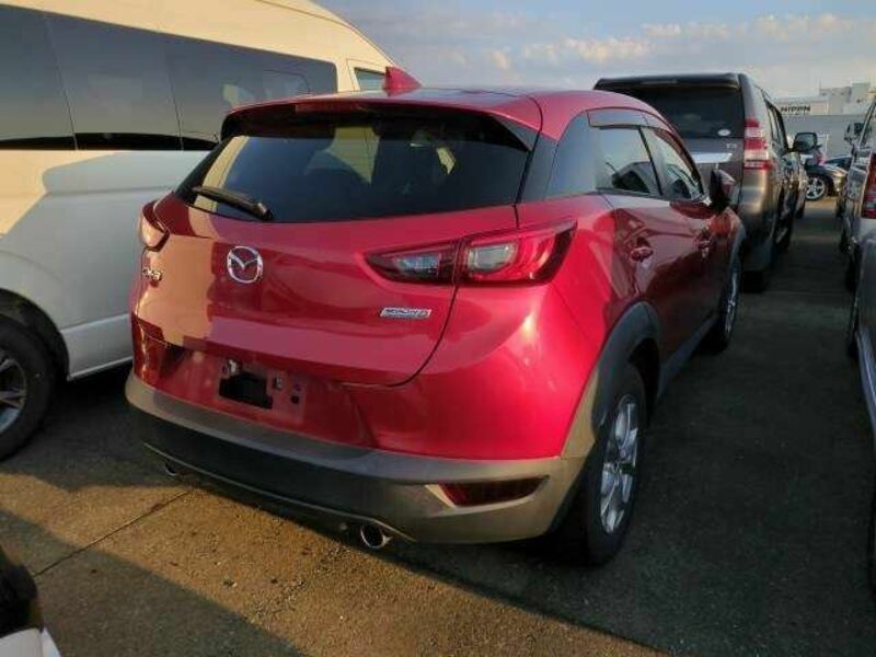 CX-3-10