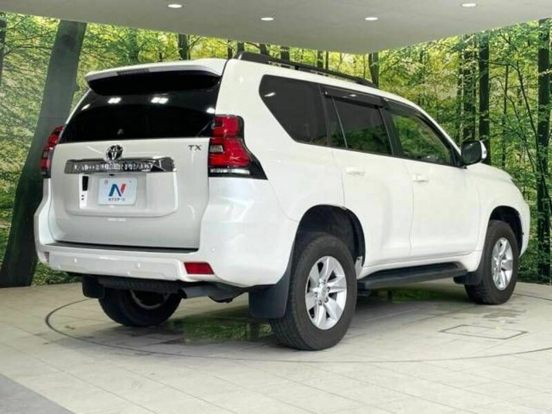 LAND CRUISER PRADO-17