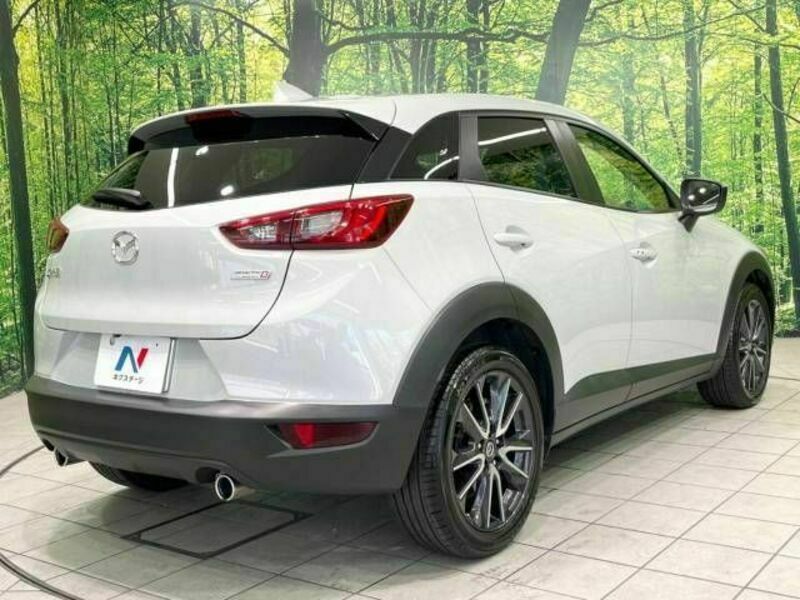 CX-3-17