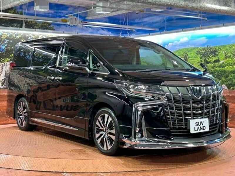 ALPHARD-16