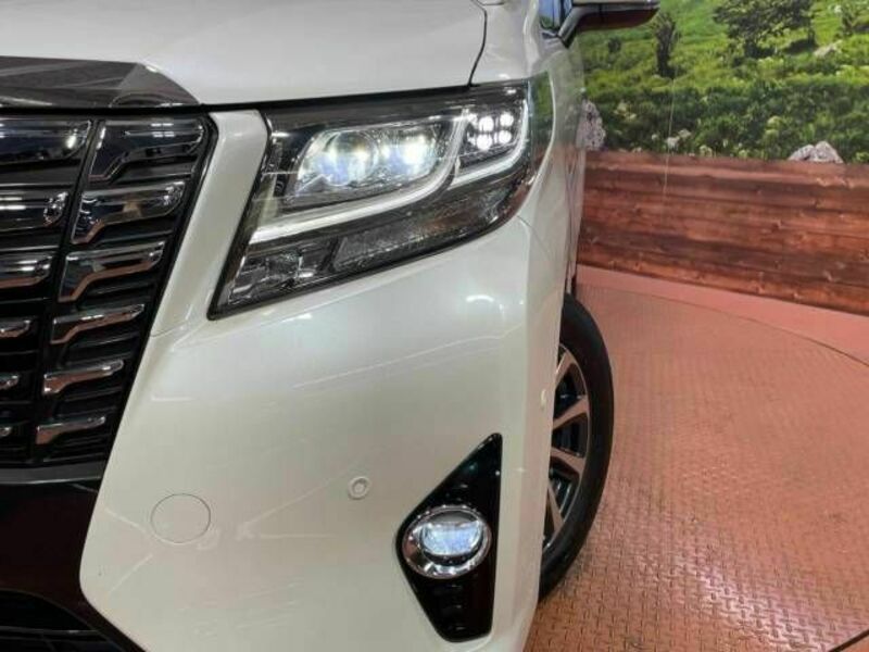 ALPHARD-12