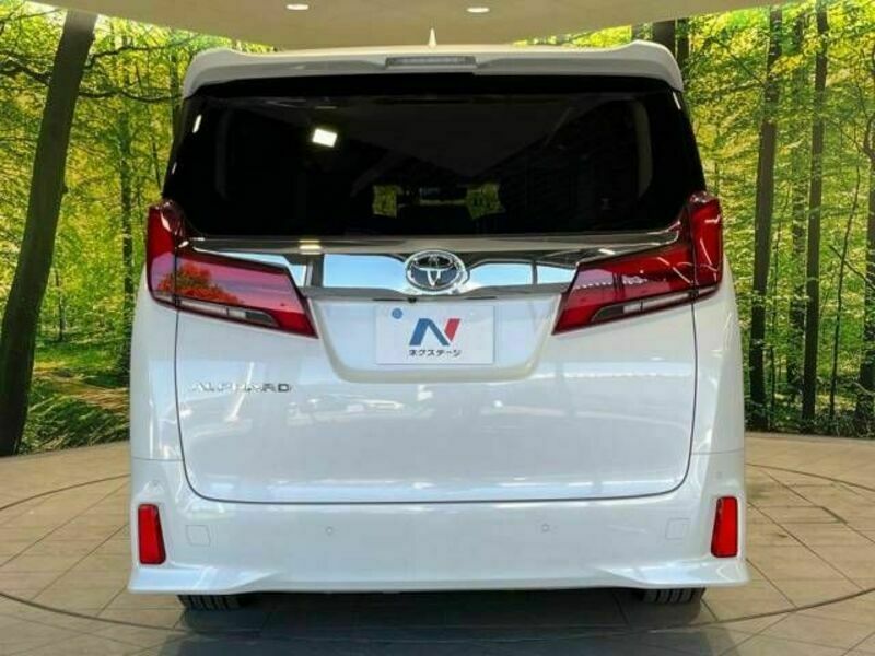 ALPHARD-16