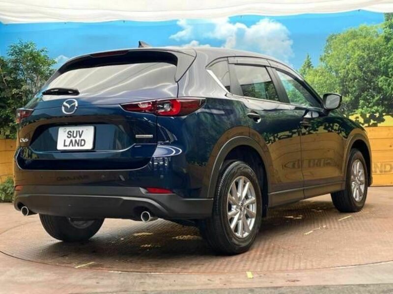 CX-5-17