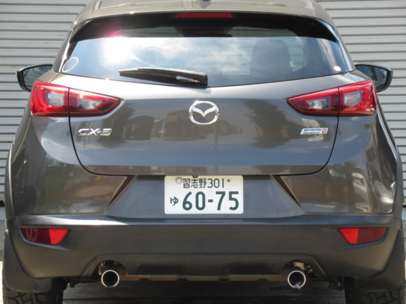 CX-3-6