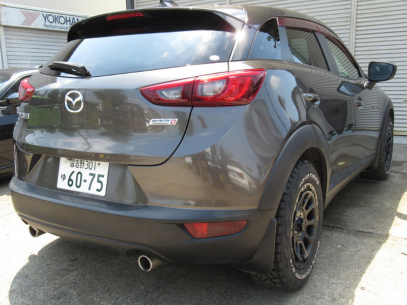 CX-3-1