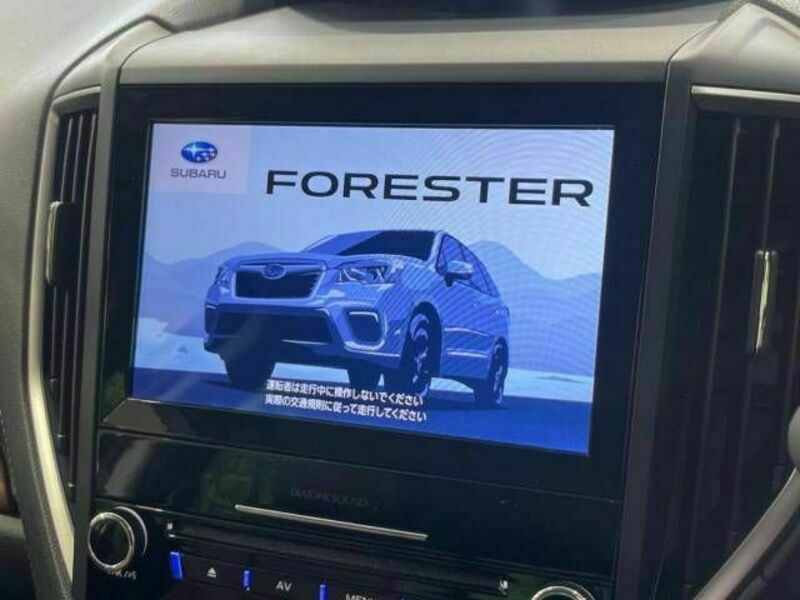 FORESTER-2