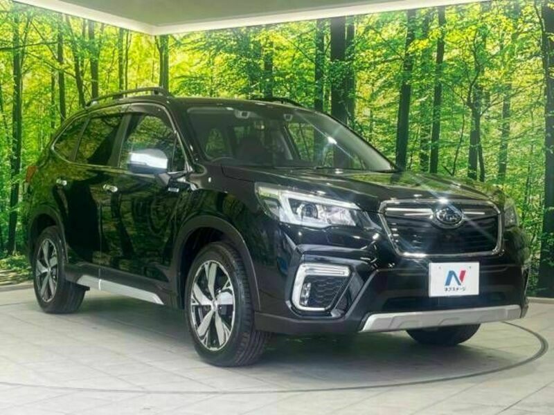 FORESTER-16