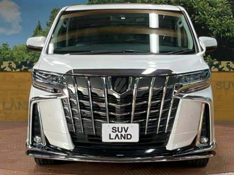 ALPHARD-16