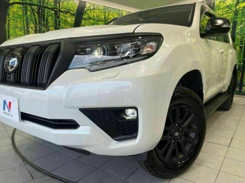 LAND CRUISER PRADO-13