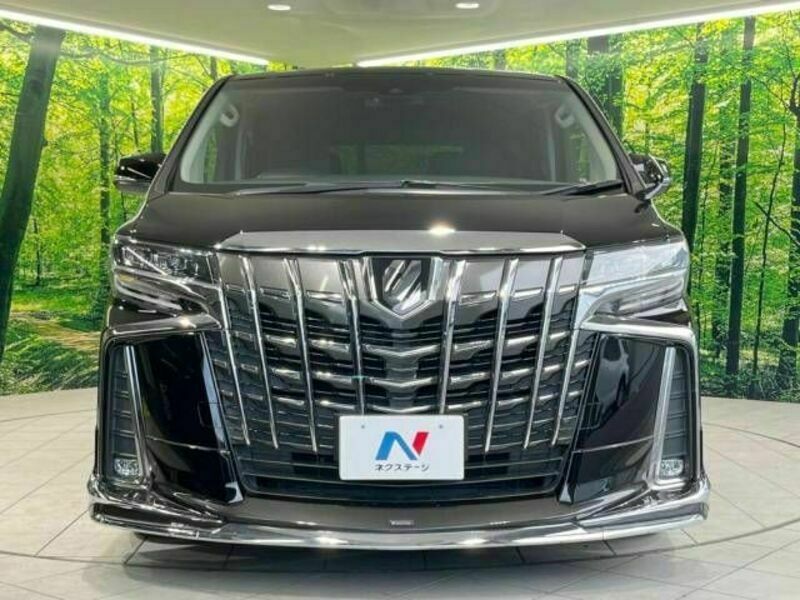 ALPHARD-15