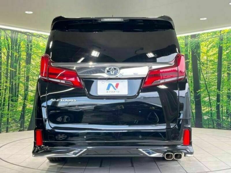 ALPHARD-16