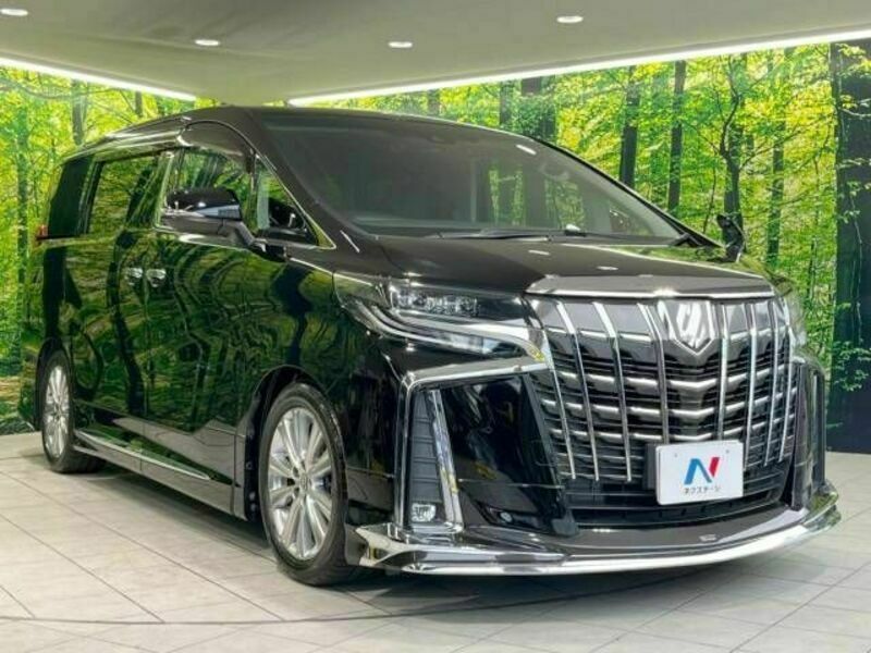 ALPHARD-17