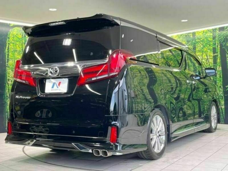 ALPHARD-18