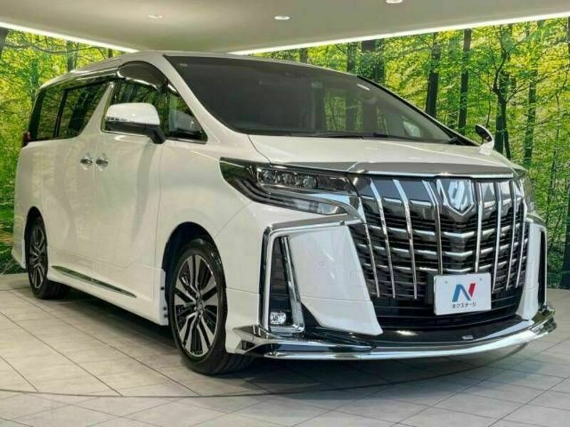 ALPHARD-17