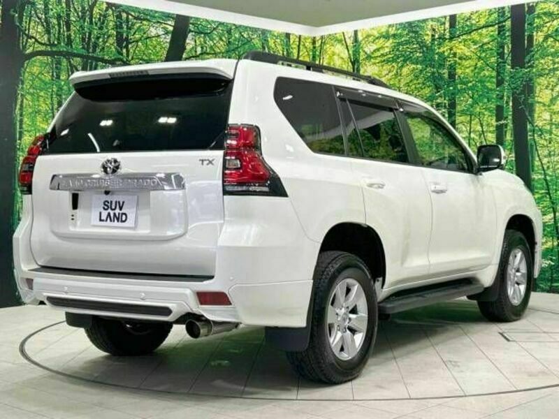 LAND CRUISER PRADO-17