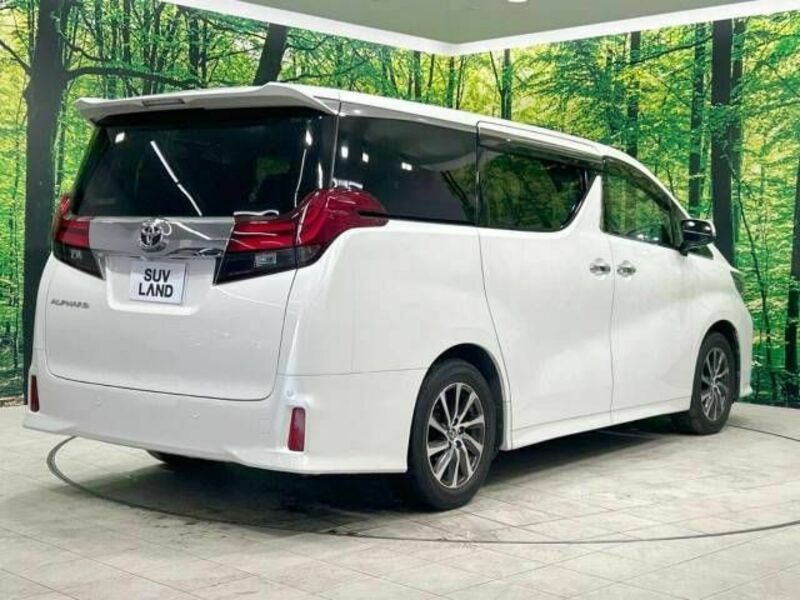 ALPHARD-17