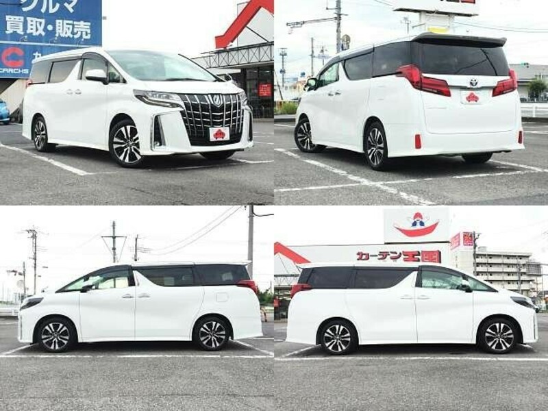 ALPHARD-3