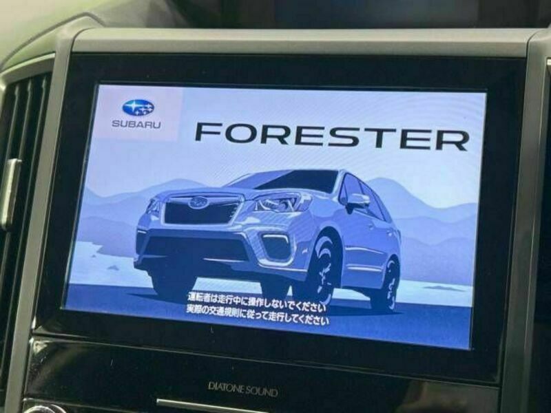 FORESTER-2