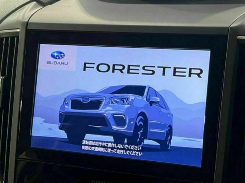 FORESTER-3