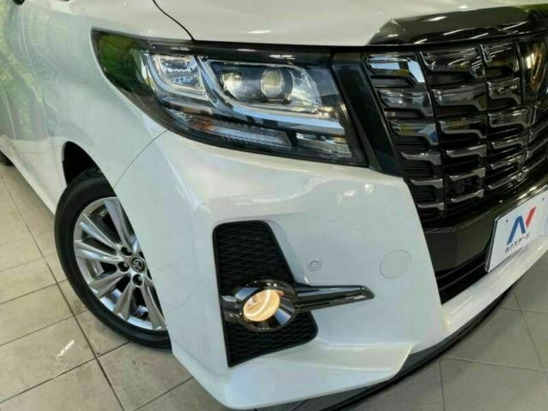 ALPHARD-14