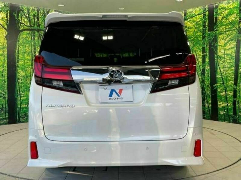 ALPHARD-17