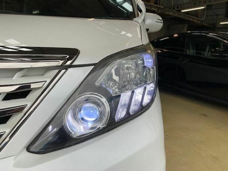 ALPHARD-3