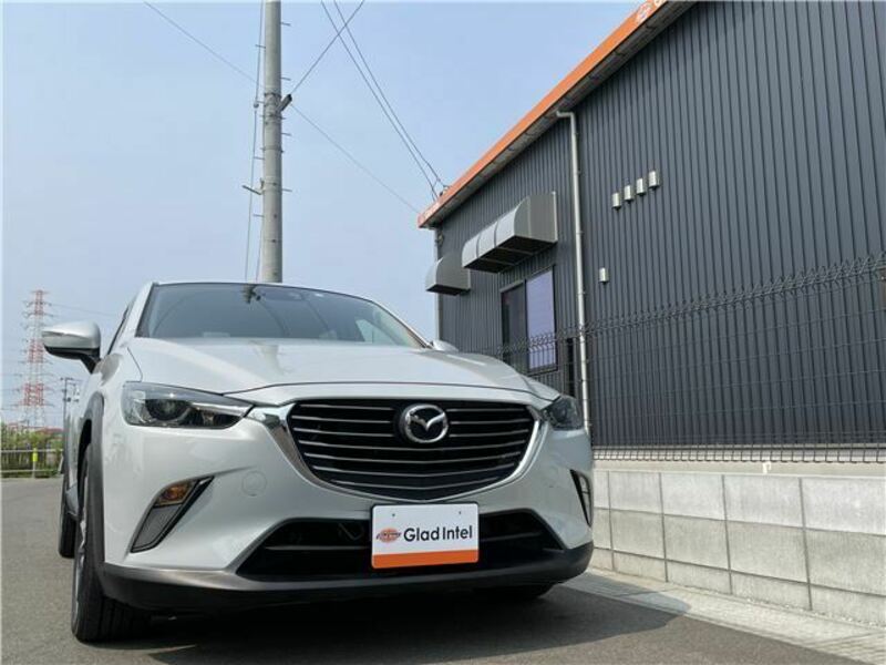 CX-3-6