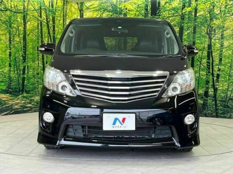 ALPHARD-16