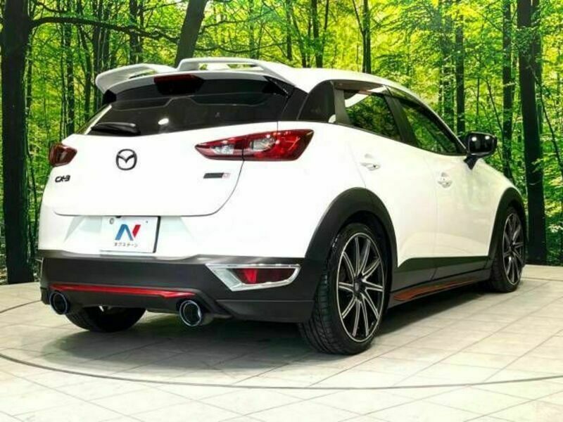 CX-3-17