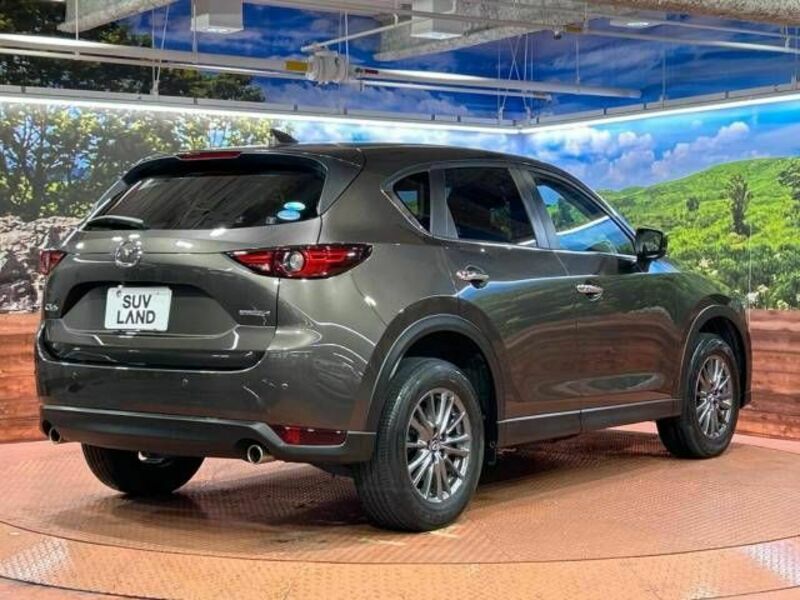 CX-5-17