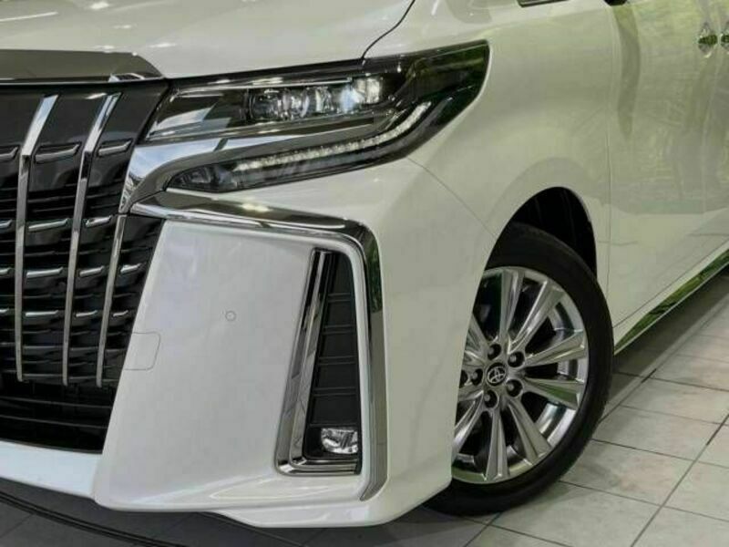 ALPHARD-13