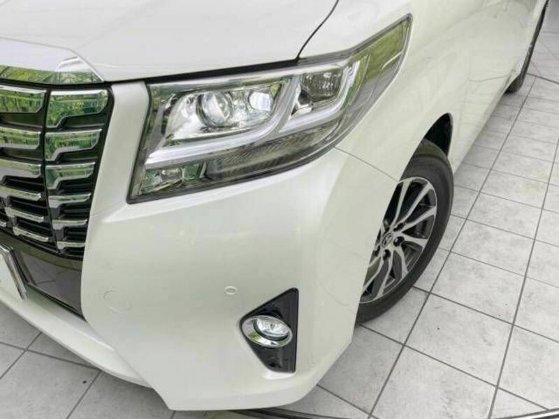 ALPHARD-13