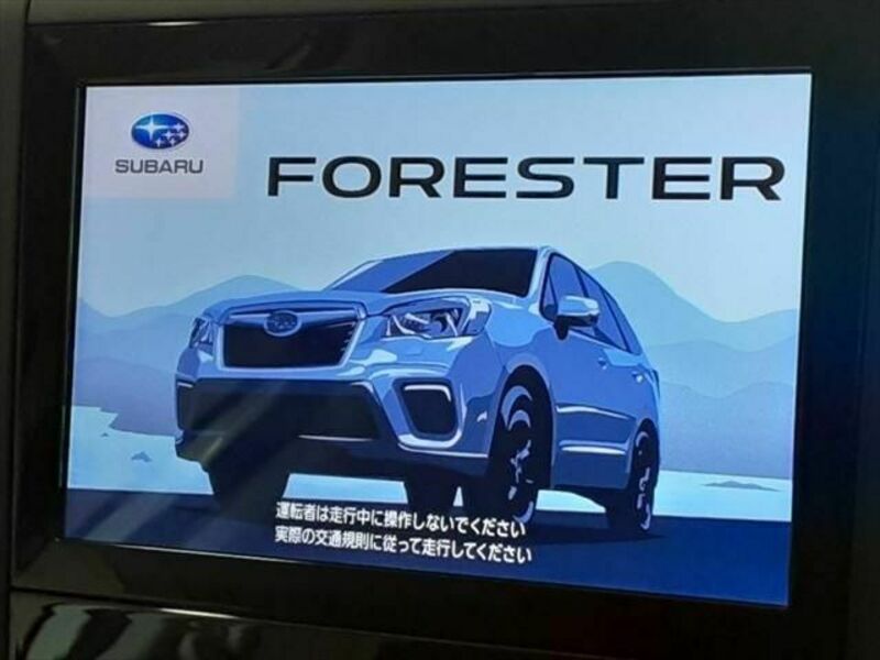 FORESTER-2